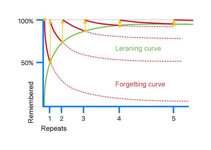 Forgetting curve of Ebbinghaus Forgetting learned information, depending on the number of repetitions
