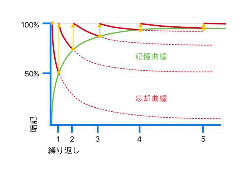エビングハウスの忘却曲線