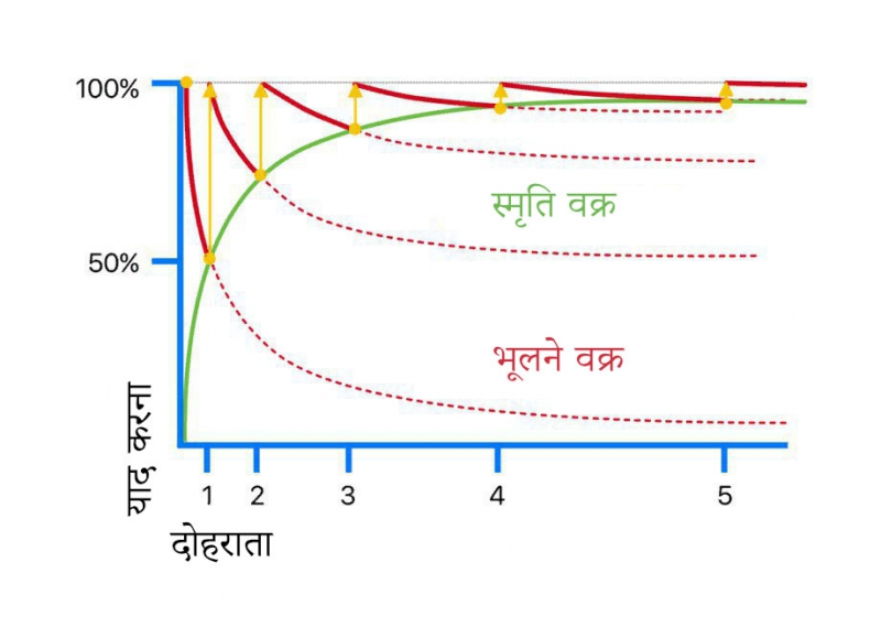 दोहराव की संख्या पर याद करने की निर्भरता एबिंगहॉस का विस्मरण वक्र