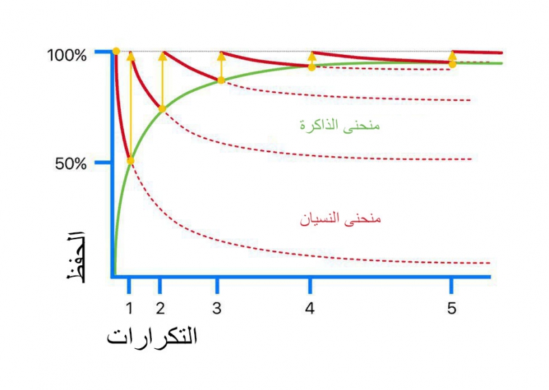 منحنى النسيان لماذا التكرار اليومي أفضل من الجلسات الطويلة