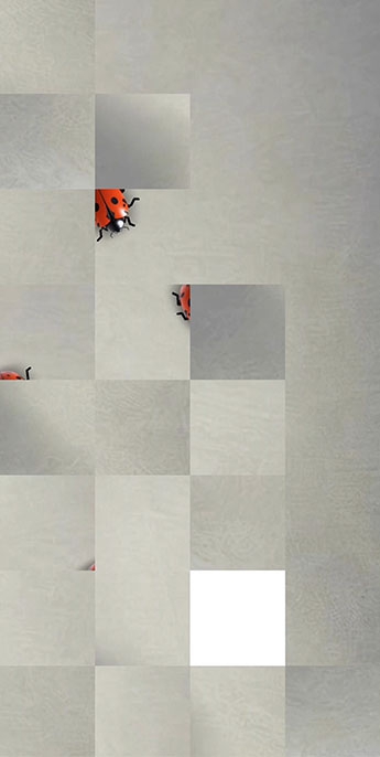 Логические головоломки в движении Анимированные пазлы с жуками на однородном фоне