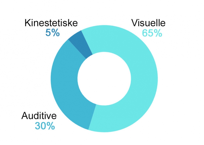 Visuell auditiv kinestetisk laering modaliteter
